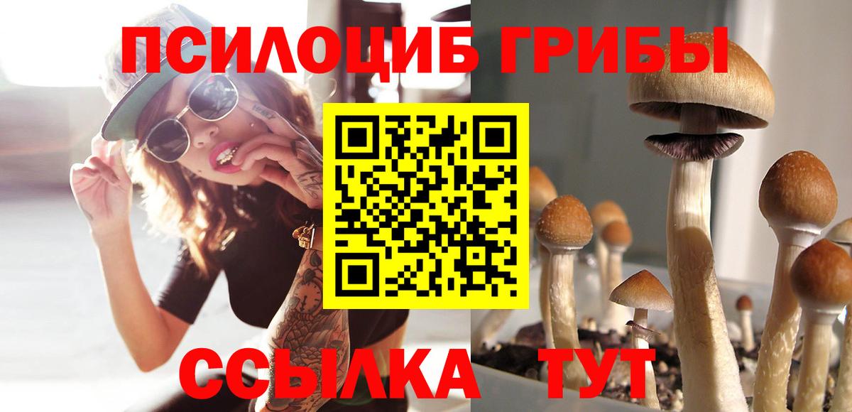 Галлюциногенные грибы прущие грибы Камышин